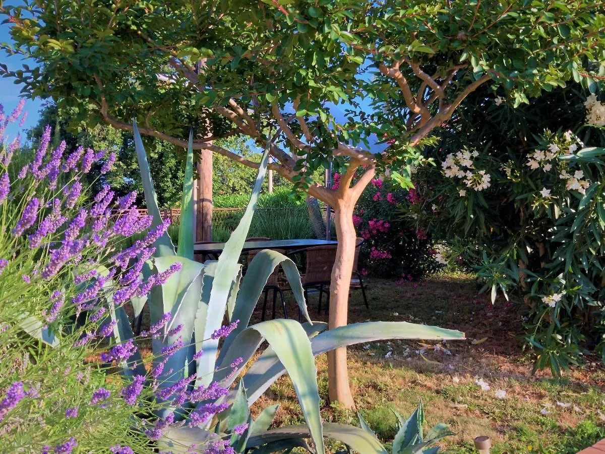 Apartment Agava Istria - Family Vacation Rental With Free Parking, Garden, Wifi Ližnjan