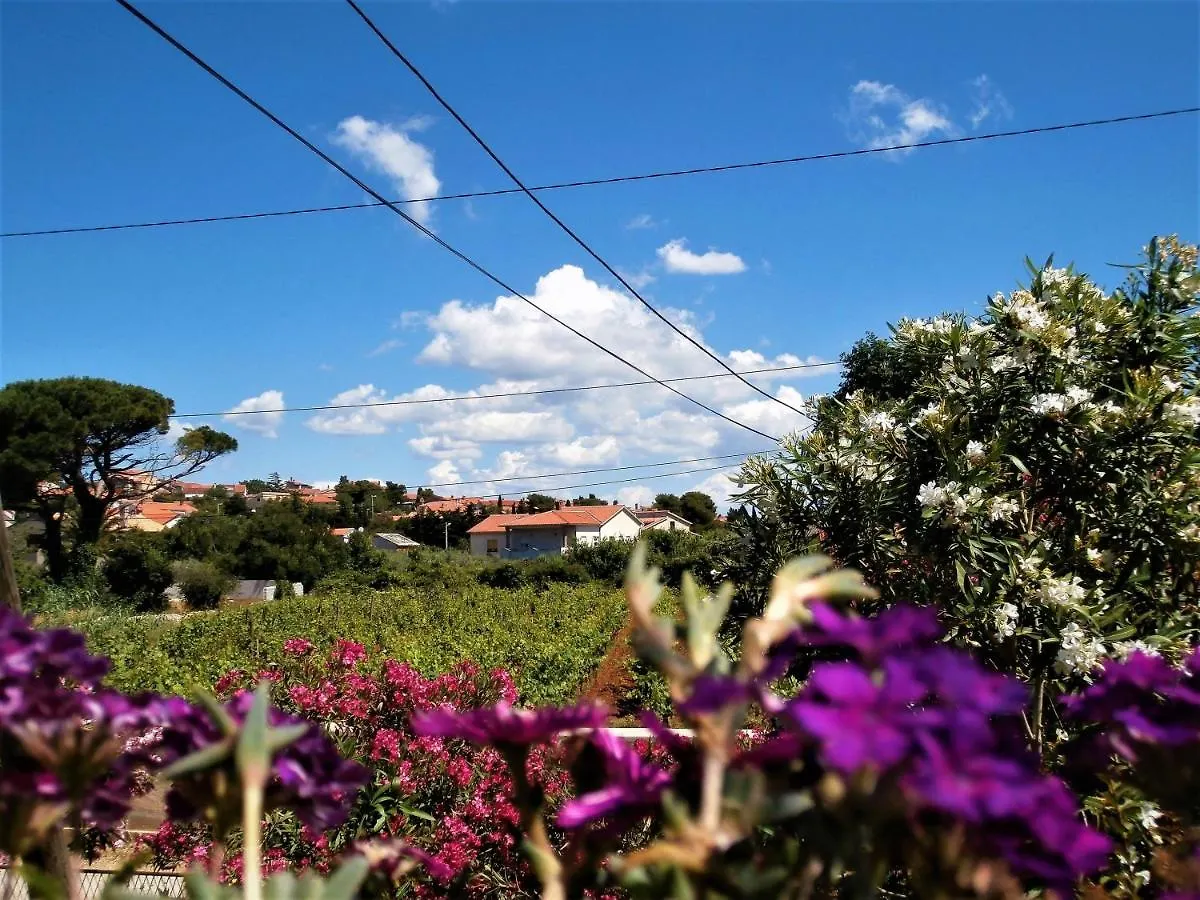 Apartment Agava Istria - Family Vacation Rental With Free Parking, Garden, Wifi Ližnjan 0*,