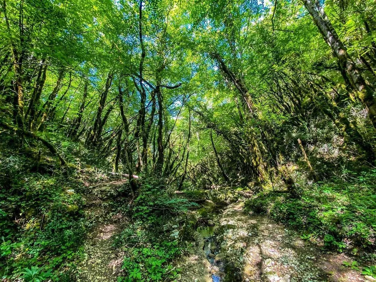 Apartment Agava Istria - Family Vacation Rental With Free Parking, Garden, Wifi Ližnjan