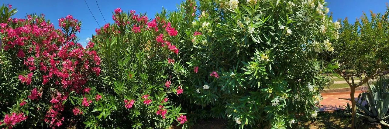 Apartment Agava Istria - Family Vacation Rental With Free Parking, Garden, Wifi Ližnjan