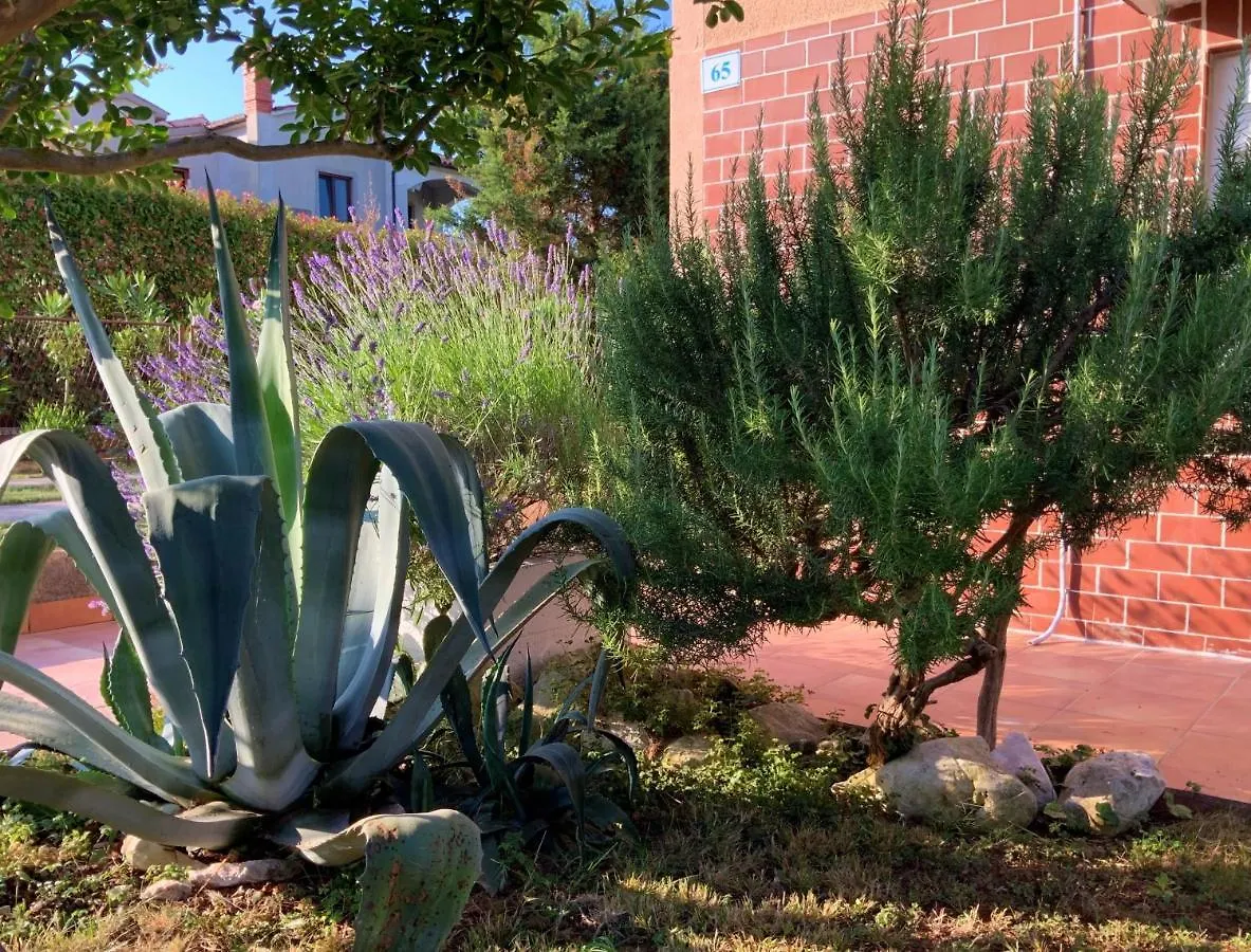 Apartment Agava Istria - Family Vacation Rental With Free Parking, Garden, Wifi Ližnjan